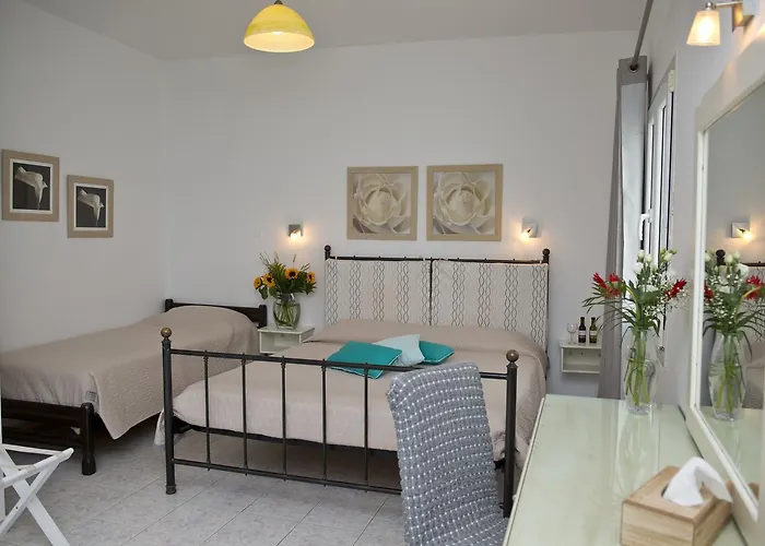 Fraskoula's Pensjonat Agios Stefanos Avliotes